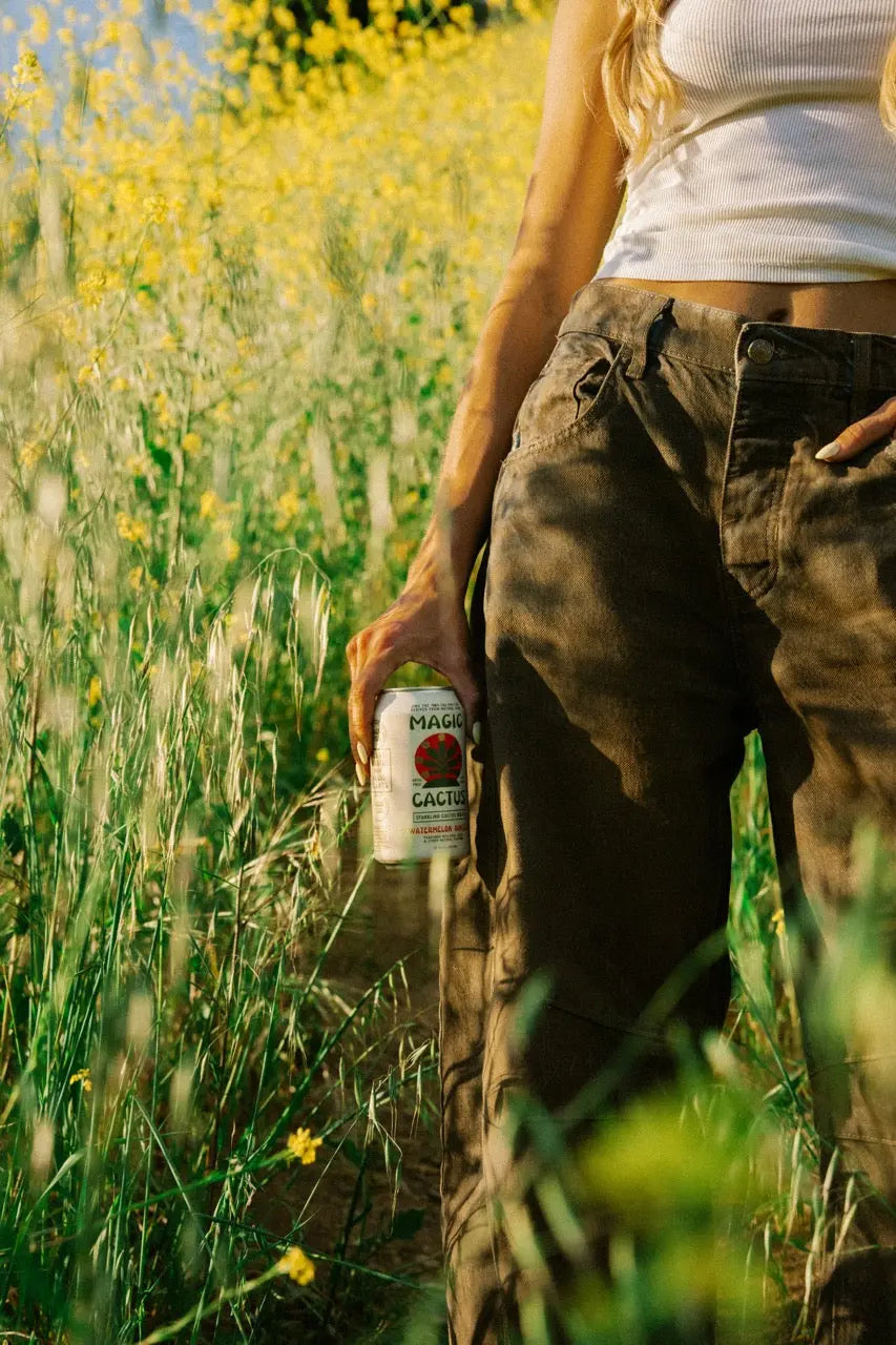 Hand holding a can of Magic Cactus in a grassy field