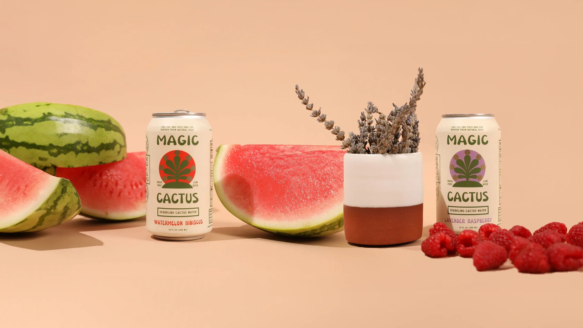 THE ORIGINAL VARIETY PACK My Store